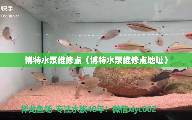 博特水泵维修点（博特水泵维修点地址）