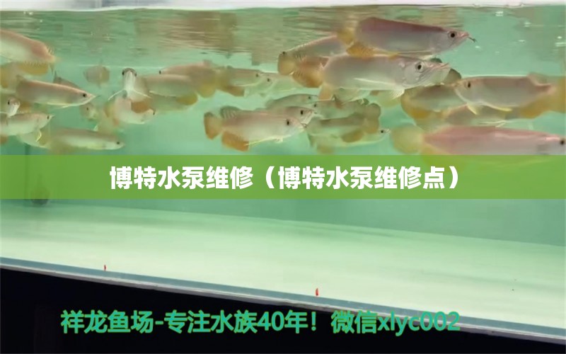 博特水泵维修（博特水泵维修点）