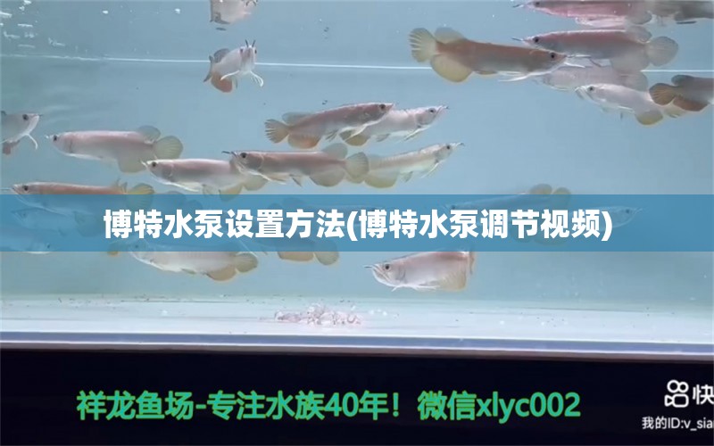 博特水泵设置方法(博特水泵调节视频)