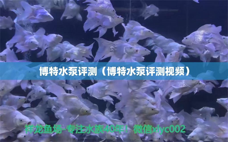 博特水泵评测（博特水泵评测视频）