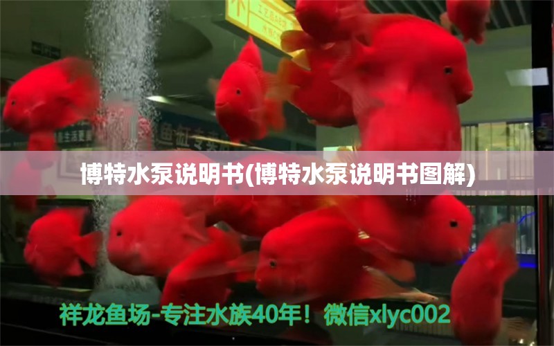 博特水泵说明书(博特水泵说明书图解)