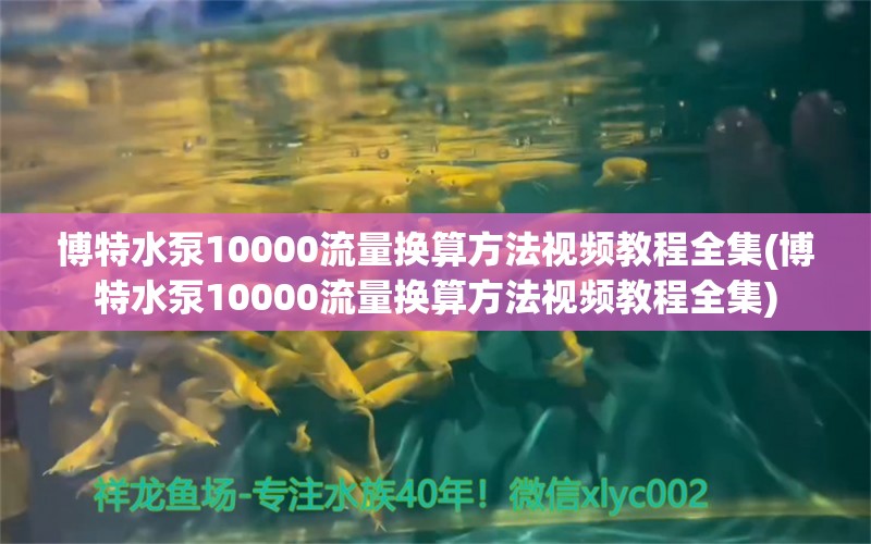 博特水泵10000流量换算方法视频教程全集(博特水泵10000流量换算方法视频教程全集)