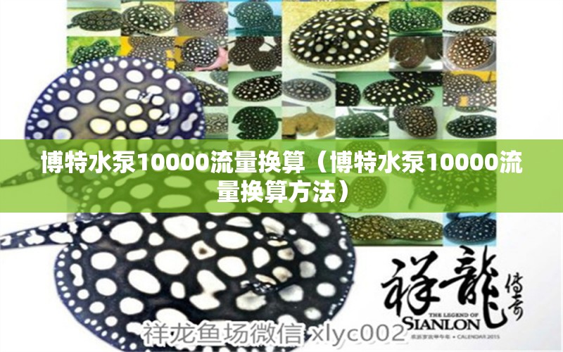 博特水泵10000流量换算（博特水泵10000流量换算方法）