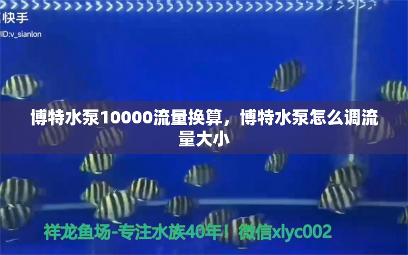 博特水泵10000流量换算，博特水泵怎么调流量大小 博特水族 第1张