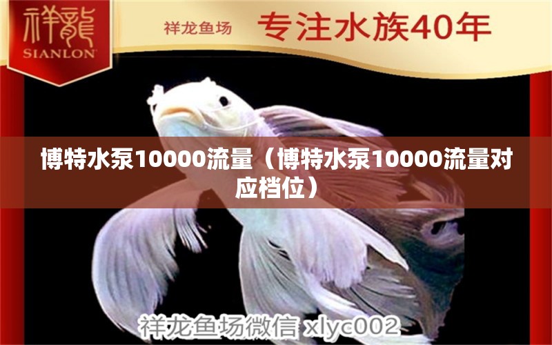 博特水泵10000流量（博特水泵10000流量对应档位）