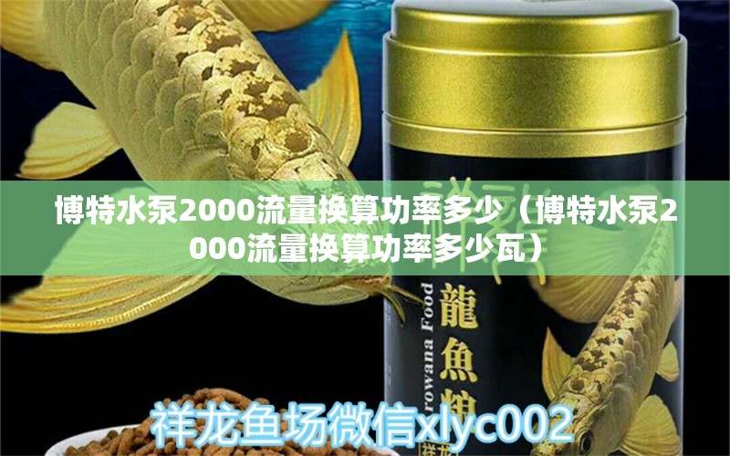 博特水泵2000流量换算功率多少（博特水泵2000流量换算功率多少瓦） 博特水族