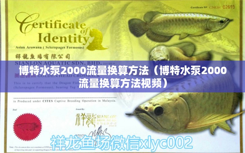 博特水泵2000流量换算方法（博特水泵2000流量换算方法视频） 博特水族