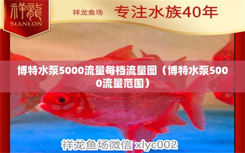 博特水泵5000流量每档流量图（博特水泵5000流量范围）