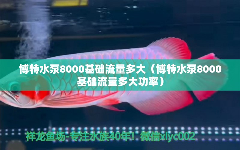 博特水泵8000基础流量多大（博特水泵8000基础流量多大功率）