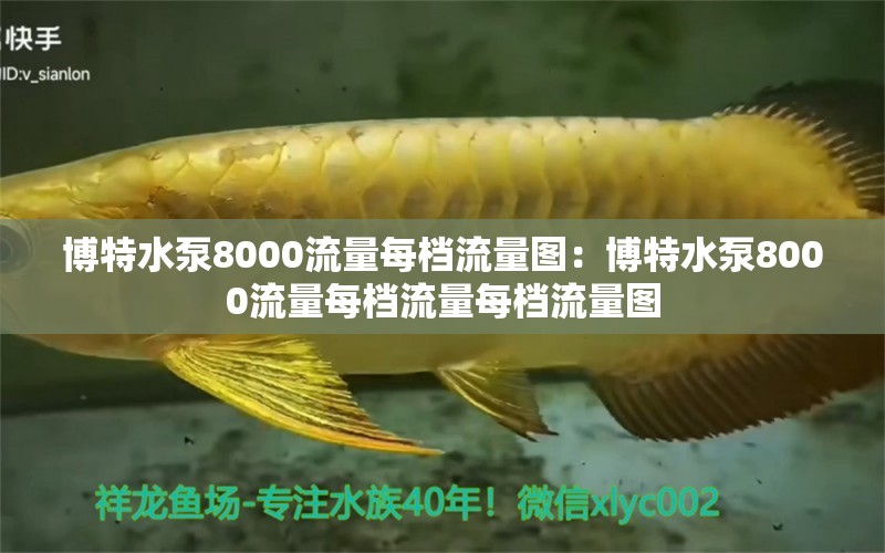 博特水泵8000流量每档流量图：博特水泵8000流量每档流量每档流量图 博特水族 第2张