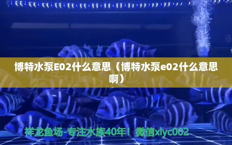 博特水泵E02什么意思（博特水泵e02什么意思啊）