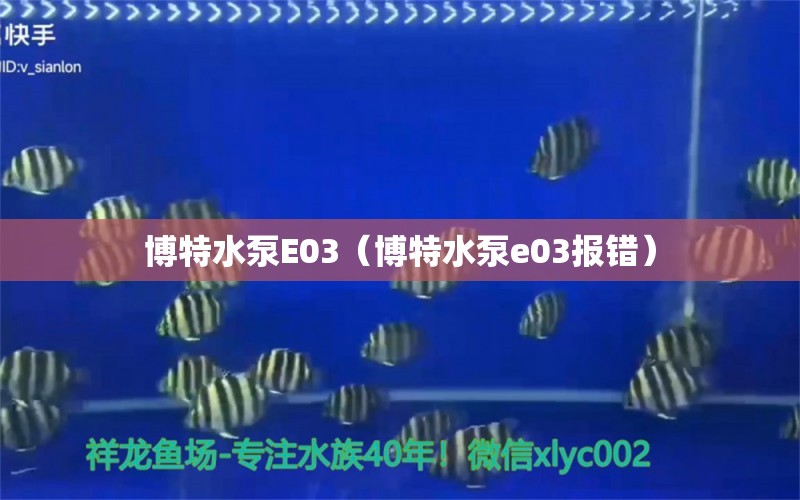 博特水泵E03（博特水泵e03报错）