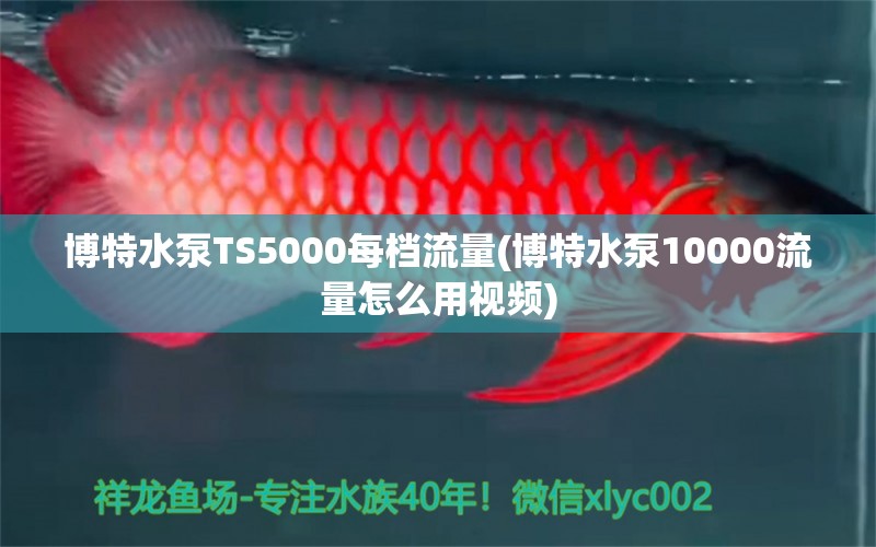 博特水泵TS5000每档流量(博特水泵10000流量怎么用视频)