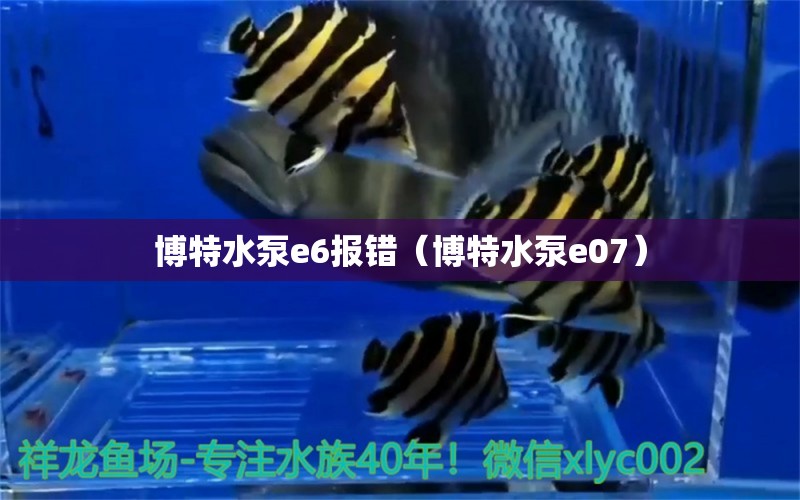 博特水泵e6报错（博特水泵e07）