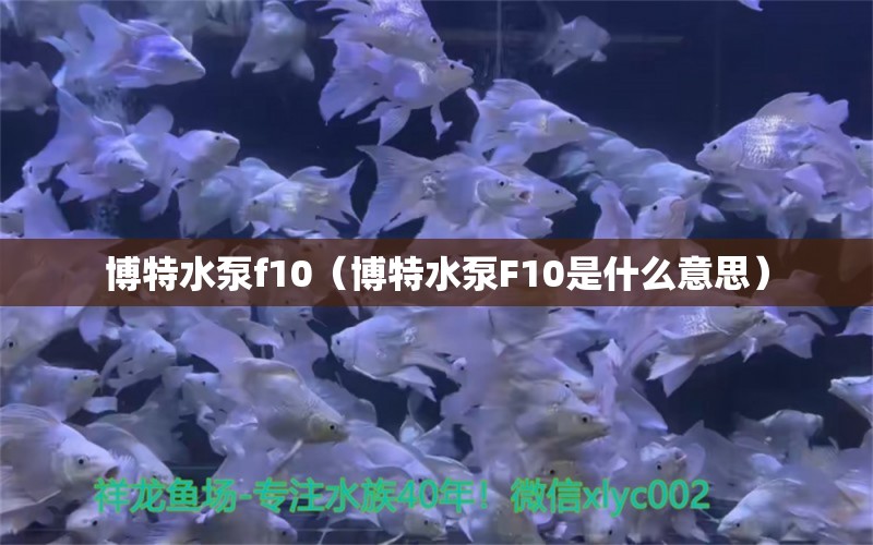 博特水泵f10（博特水泵F10是什么意思）