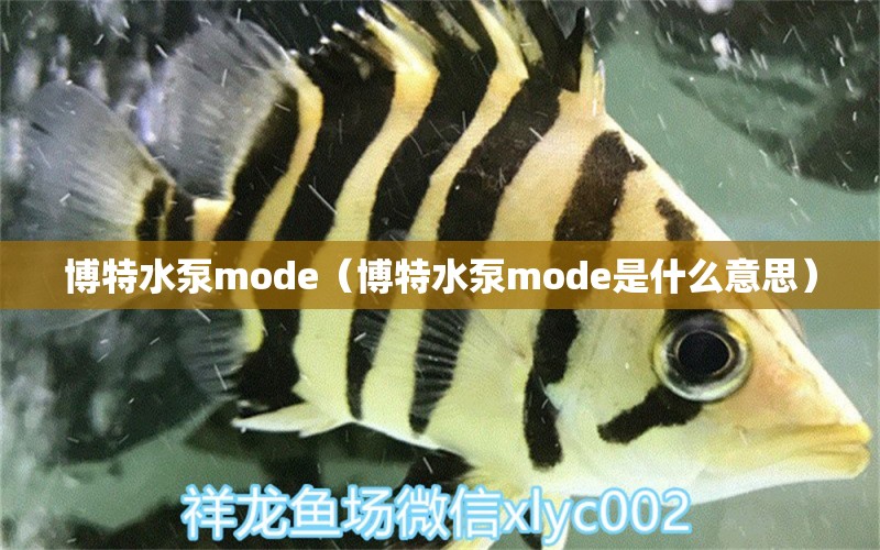 博特水泵mode（博特水泵mode是什么意思）