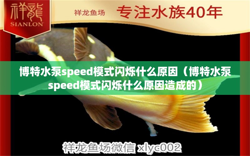 博特水泵speed模式闪烁什么原因（博特水泵speed模式闪烁什么原因造成的）