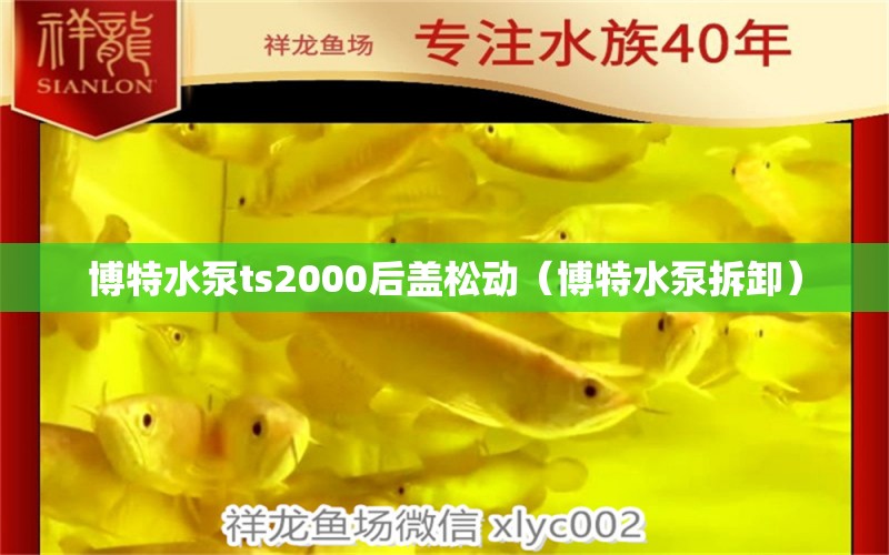 博特水泵ts2000后盖松动（博特水泵拆卸） 博特水族