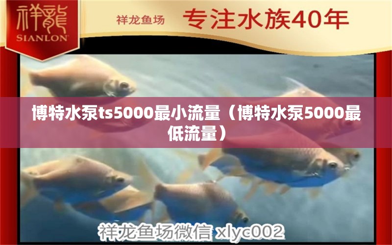 博特水泵ts5000最小流量（博特水泵5000最低流量）