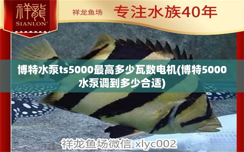 博特水泵ts5000最高多少瓦数电机(博特5000水泵调到多少合适)