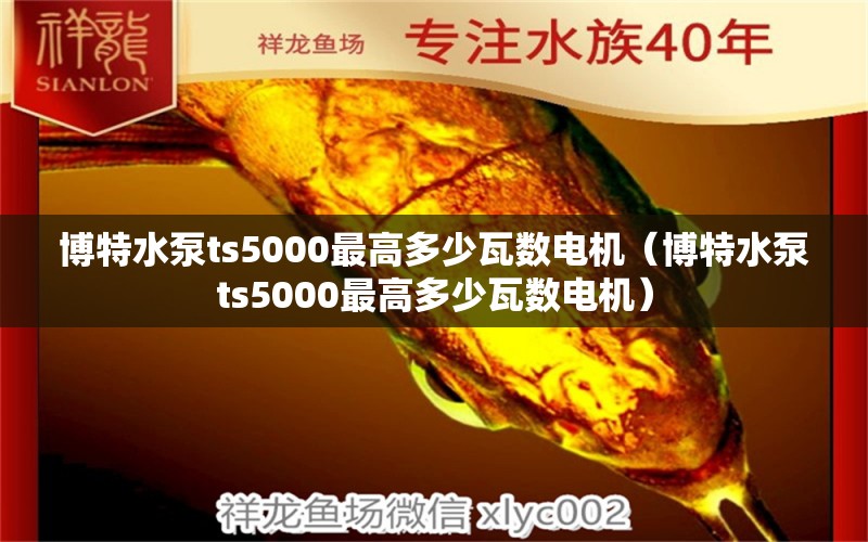 博特水泵ts5000最高多少瓦数电机（博特水泵ts5000最高多少瓦数电机）