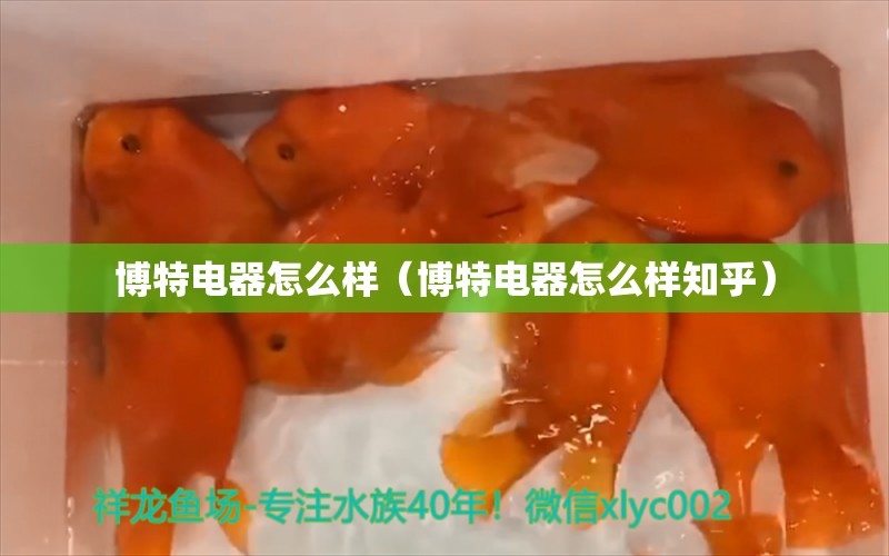 博特电器怎么样（博特电器怎么样知乎）