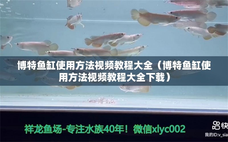 博特鱼缸使用方法视频教程大全（博特鱼缸使用方法视频教程大全下载）