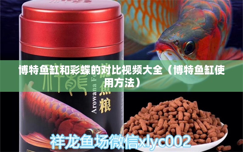 博特鱼缸和彩蝶的对比视频大全（博特鱼缸使用方法） 巴卡雷龙鱼