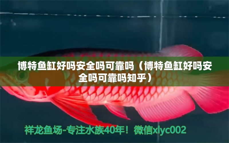 博特鱼缸好吗安全吗可靠吗（博特鱼缸好吗安全吗可靠吗知乎） 博特水族