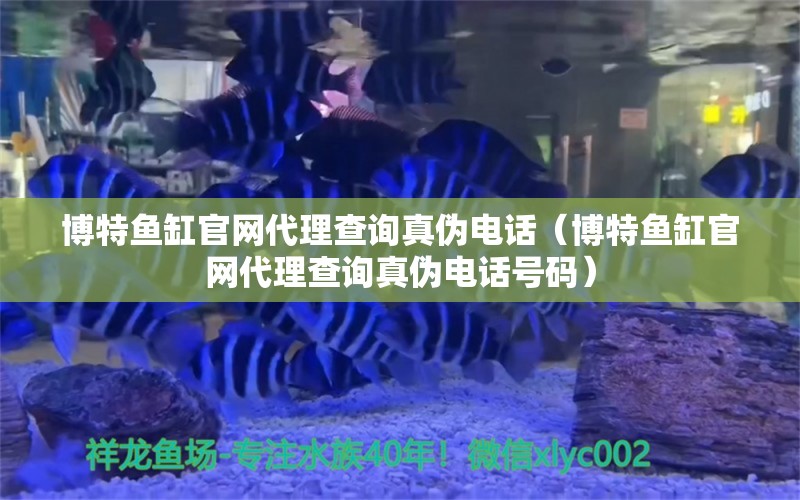 博特鱼缸官网代理查询真伪电话（博特鱼缸官网代理查询真伪电话号码）