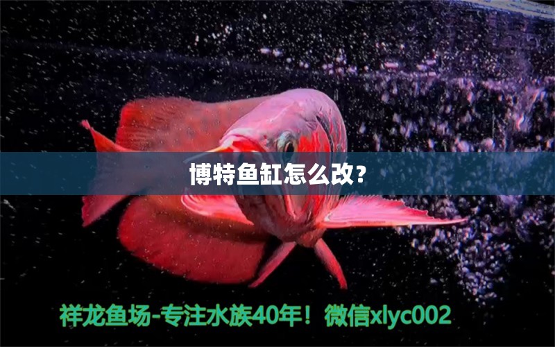 博特鱼缸怎么改？