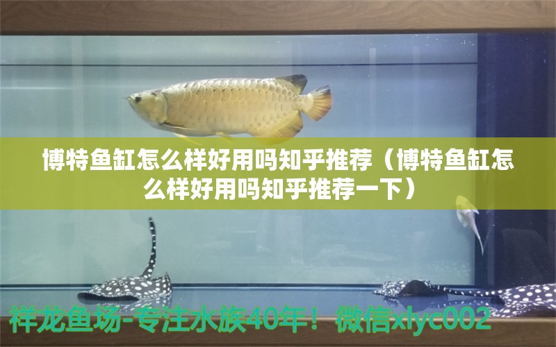 博特鱼缸怎么样好用吗知乎推荐（博特鱼缸怎么样好用吗知乎推荐一下）