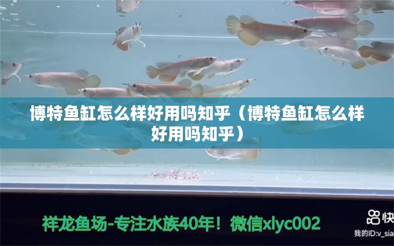 博特鱼缸怎么样好用吗知乎（博特鱼缸怎么样好用吗知乎）