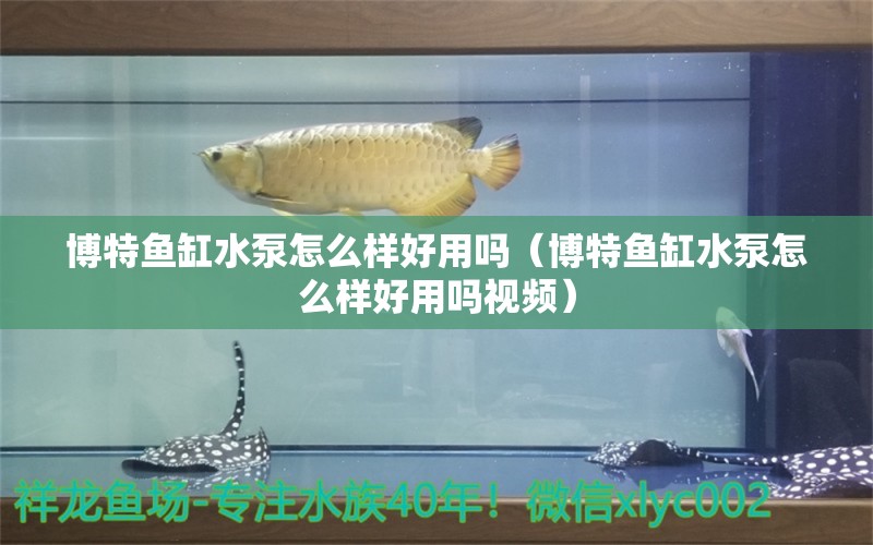 博特鱼缸水泵怎么样好用吗（博特鱼缸水泵怎么样好用吗视频） 博特水族