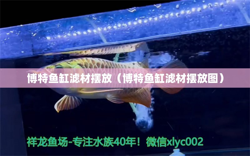 博特鱼缸滤材摆放（博特鱼缸滤材摆放图）