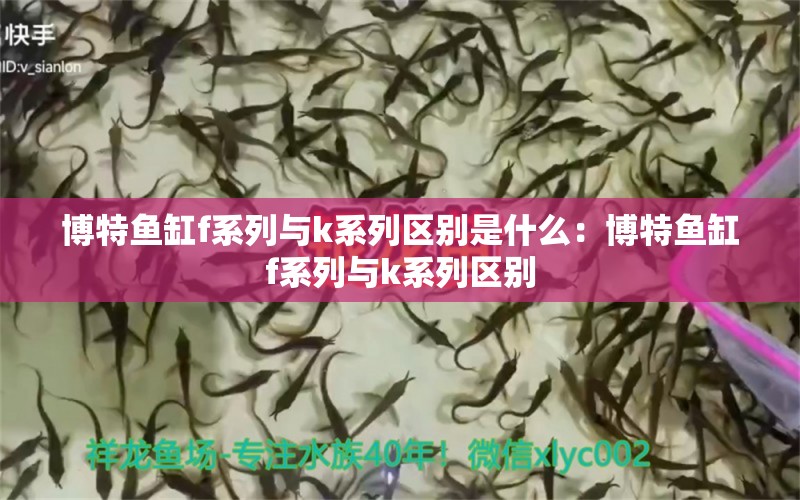 博特鱼缸f系列与k系列区别是什么：博特鱼缸f系列与k系列区别 博特水族 第2张