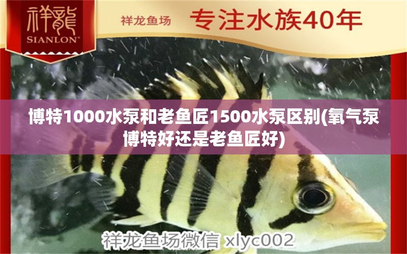 博特1000水泵和老鱼匠1500水泵区别(氧气泵博特好还是老鱼匠好)