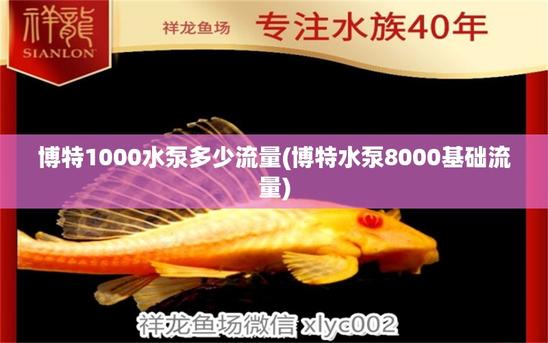 博特1000水泵多少流量(博特水泵8000基础流量) 博特水族 第1张