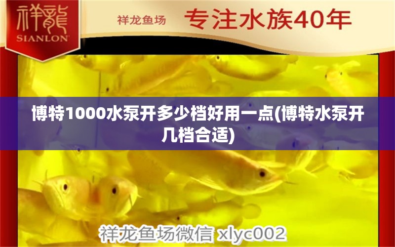 博特1000水泵开多少档好用一点(博特水泵开几档合适)