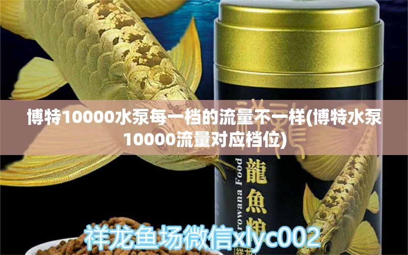 博特10000水泵每一档的流量不一样(博特水泵10000流量对应档位)