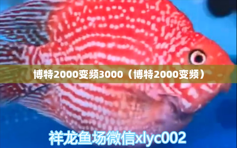 博特2000变频3000（博特2000变频） 博特水族