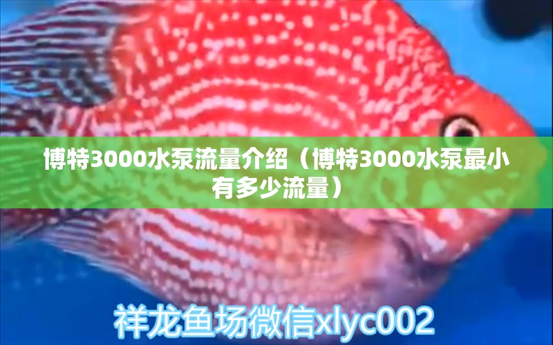 博特3000水泵流量介绍（博特3000水泵最小有多少流量）