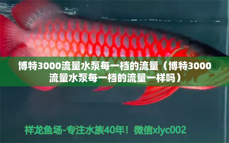 博特3000流量水泵每一档的流量（博特3000流量水泵每一档的流量一样吗） 博特水族