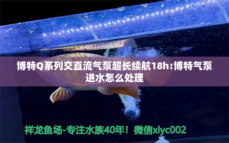 博特Q系列交直流气泵超长续航18h:博特气泵进水怎么处理