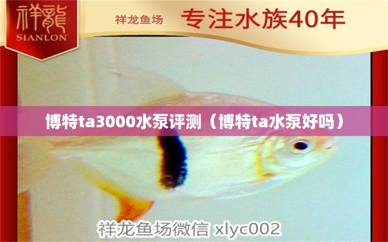 博特ta3000水泵评测（博特ta水泵好吗）