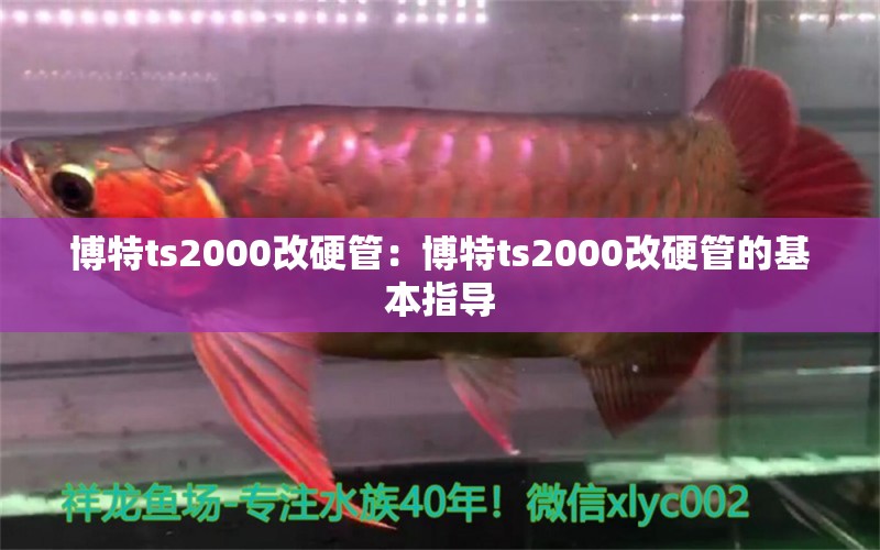 博特ts2000改硬管：博特ts2000改硬管的基本指导