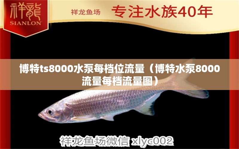 博特ts8000水泵每档位流量（博特水泵8000流量每档流量图） 博特水族