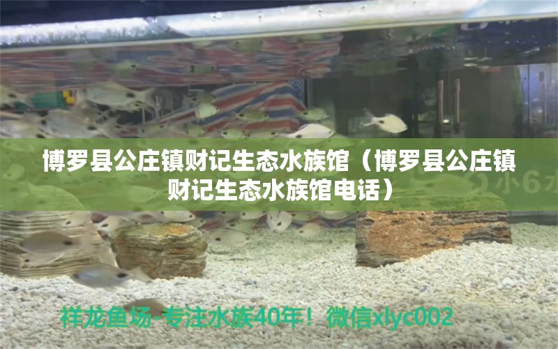 博罗县公庄镇财记生态水族馆（博罗县公庄镇财记生态水族馆电话） 全国水族馆企业名录