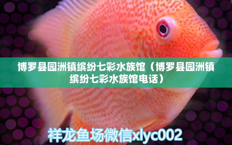 博罗县园洲镇缤纷七彩水族馆（博罗县园洲镇缤纷七彩水族馆电话）