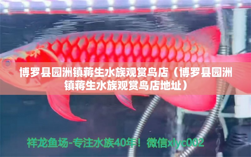 博罗县园洲镇蒋生水族观赏鸟店（博罗县园洲镇蒋生水族观赏鸟店地址）